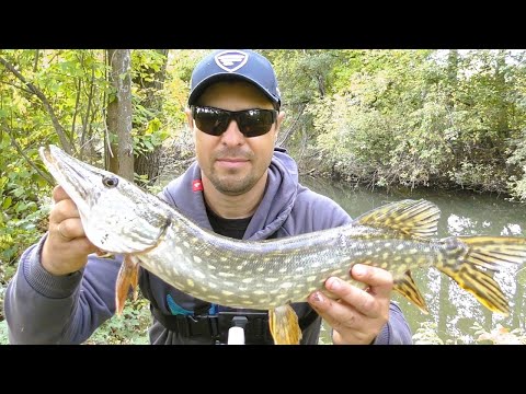 Видео: Як Ловити Щуку на Твічінг. Вибір Спінінга для Твічінга