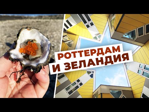 Видео: ЛОВЛЯ ДИКИХ УСТРИЦ в Нидерландах. Роттердам, кубические дома, Зеландия