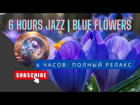 Видео: Relaxing Jazz Piano: 6 Hours of Soothing Melodies & Beautiful Blue Wildflowers/Мягкий джаз + Цветы