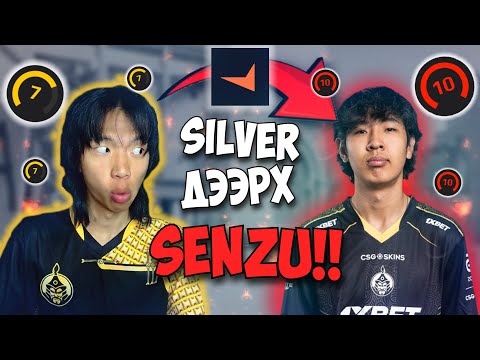 Видео: Silver дээрээ бол Senzu😂😂