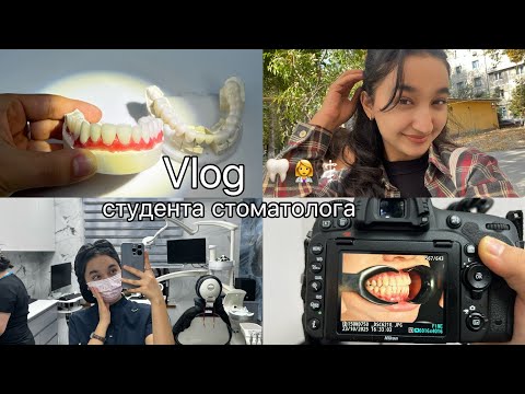 Видео: Vlog студента стоматолога | практика, клиника, немецкий 