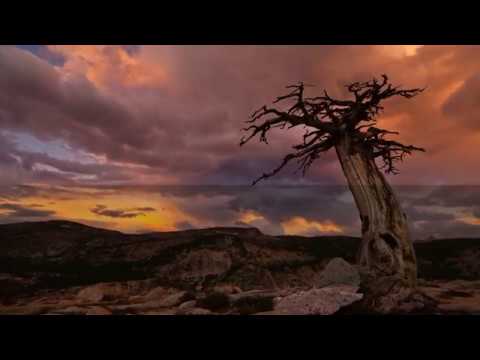 Видео: Бек Борбиев  - Уулун мага окшогон Караоке