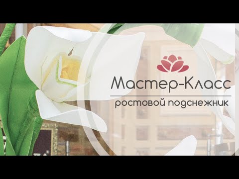 Видео: Бесплатный Мастер-Класс ростовой Подснежник из фоамирана