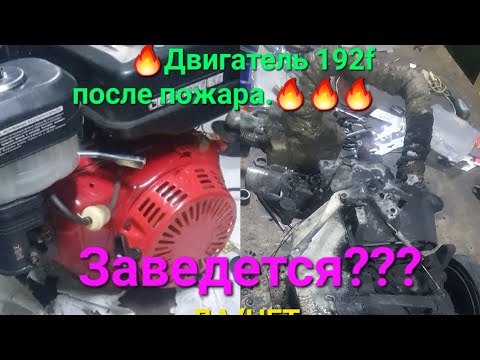 Видео: Восстановление двигателя от мотособаки  после пожара. полный разбор и сбор двигателя Вертон 192f.