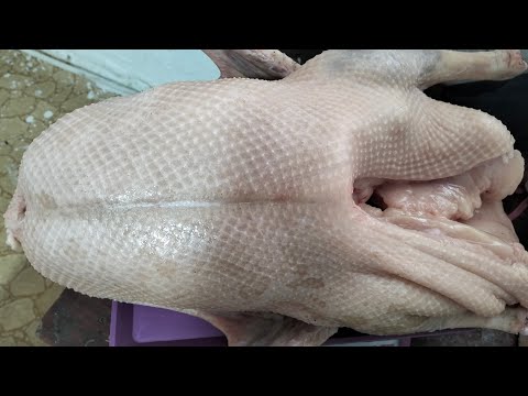 Видео: 24 октября 2025 г.