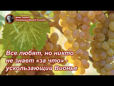 Видео: Все любят, но никто не знает "за что" - ускользающий Вионье!