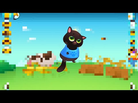 Видео: кот бубу3