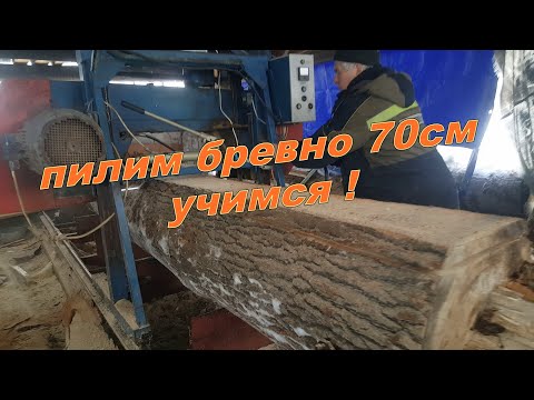 Видео: Учимся пилить большое дерево , на пилораме АВАНГАРД   80