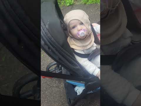 Видео: Что сломалось в коляске Anex IQ (в описании)