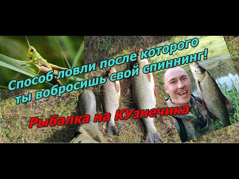Видео: Лучшая приманка Кузнечик! Производители искусственных приманок обанкротятся после моих видео!