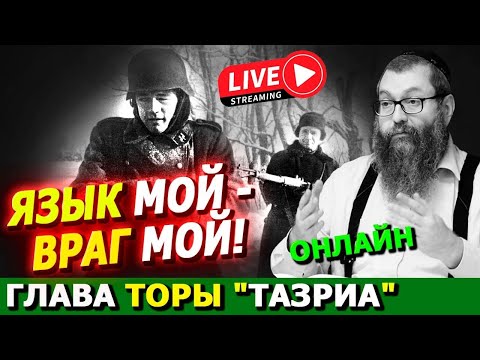 Видео: Глава Торы "Тазриа"   | Комментарии к недельной главе | Лекции Байтмана