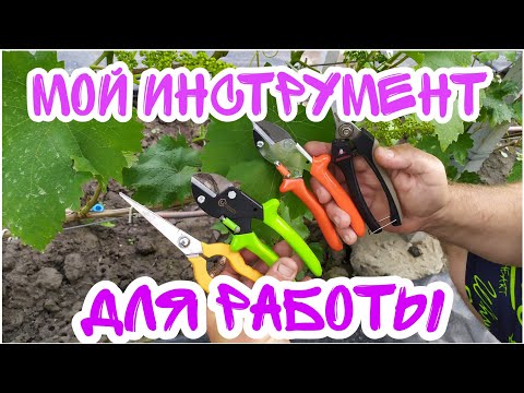 Видео: Мой инструмент для работы на винограднике