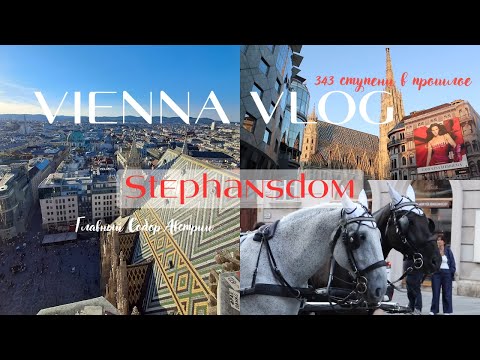 Видео: Штефансдом — Сердце Вены и Символ Австрии | Южная Башня