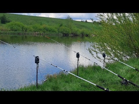 Видео: Рыбалка на карпа с донками