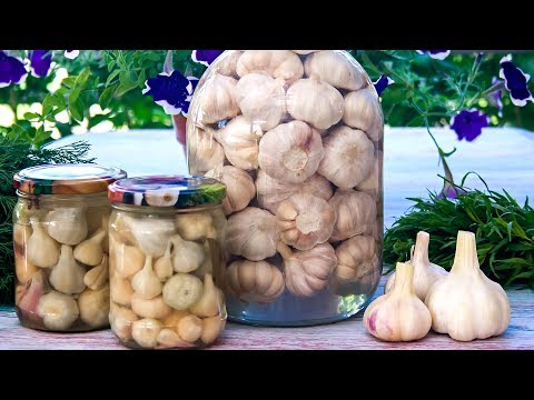 Видео: Солим и маринуем чеснок на зиму - 2 вкусных рецепта!