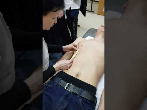 Видео: Бауыр пальпациясы