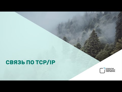 Видео: Алексей Андреев — «Связь по TCP/IP»