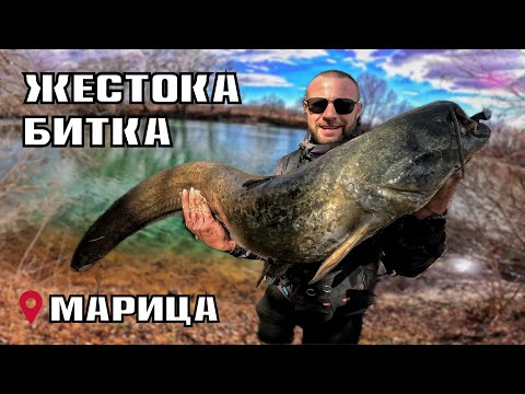 Видео: ЧУДОВИЩЕН  СОМ от МАРИЦА !