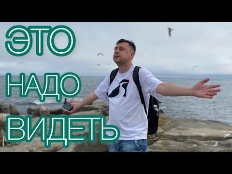 Видео: Море / Зелень / Птицы / Змеи / Отпуск во Владивостоке часть 4