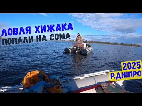 Видео: ловля хижака, попали на клювання сома
