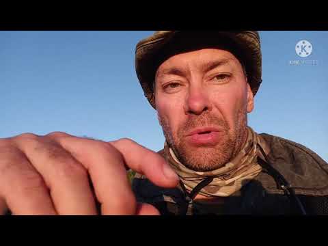 Видео: Великорецкий крестный ход 2021