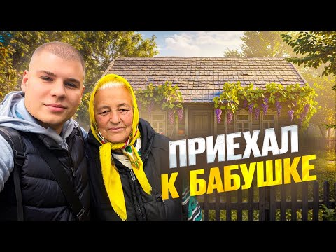Видео: Неожиданно приехал в село к бабушке! ВЛОГ!