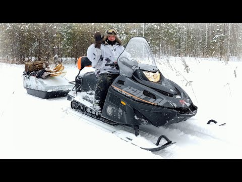 Видео: Купили новый снегоход! Охота на зайцев с гончими пошла не по плану!🤣