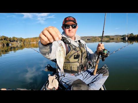 Видео: Этот метод ВСЕГДА даёт хороший результат!!! Простой и лёгкий способ ловли сома круглый год