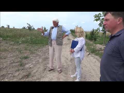 Видео: Ореховый сад Юрченко И.В. Июль 2019