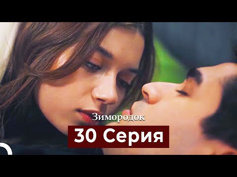 Видео: Зимородок 30 Cерия (Русский дубляж)