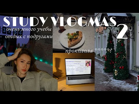 Видео: study vlogmas 2^ учись со мной, встречи с подругами, исполнение желаний,oчень много подготовки к егэ