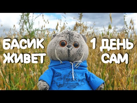 Видео: БАСИК ВЫЖИВАЕТ! | БАСИК ЖИВЕТ САМ 1 ДЕНЬ|Basik TV