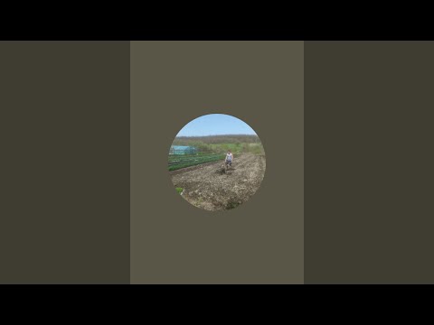 Видео: клубника как бизнес, поболтаем...