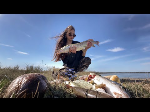 Видео: В 1000КМ ОТ ДОМА!!! ТОРГАЙ!! РЕКА ТОРГАЙКА!!! РАЗДАЧА ЩУКИ!! 