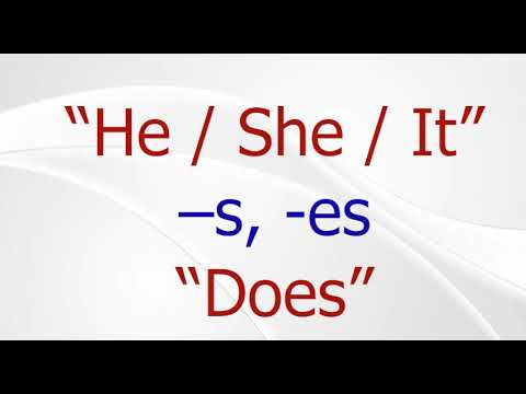 Видео: 13-сабак. Present simple questions