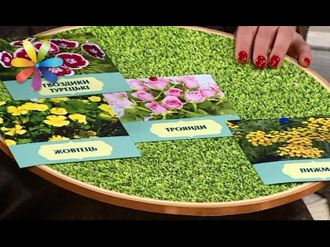 Видео: Секреты умного цветника, который сам за собой ухаживает – Все буде добре. Выпуск 992 от 30.03.17