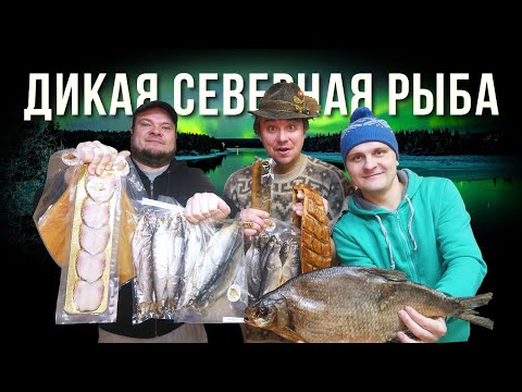 Видео: ЗАКУСКИ К ПИВУ. ПРОБУЕМ ВПЕРВЫЕ ДИКУЮ РЫБУ С СЕВЕРА