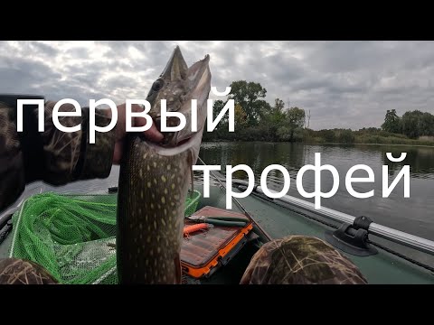 Видео: ЩУКА на ВОБЛЕР.  Первый Осенний Трофей 2025. ( Воблер RERANGE 130 SP китайский).