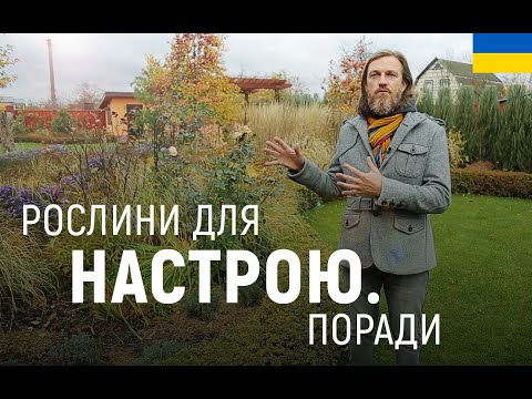 Видео: ЛАНДШАФТНИЙ ДИЗАЙН | РОСЛИНИ, ЩО СТВОРЮЮТЬ НАСТРІЙ В САДУ