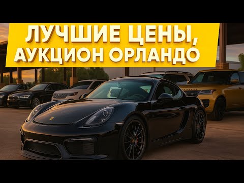 Видео: ЛУЧШИЕ ЛОТЫ ОРЛАНДО: Porsche Cayman S, Range Rover, BMW, Audi, Ford Explorer — вот настоящие сделки!