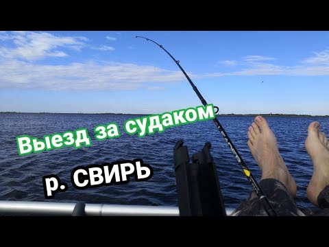 Видео: Рыбалка в карантин в Доможирово на реке Свирь