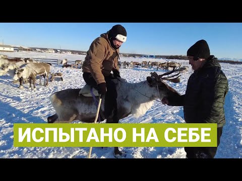 Видео: Командировка в Момский район вместе с командой Якутия24