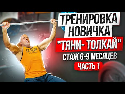 Видео: Тренировка новичка "Тяни-Толкай". Стаж 6-9 месяцев. Часть 1.