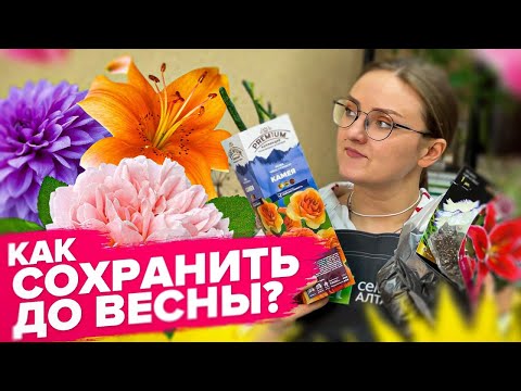 Видео: КАК СОХРАНИТЬ РОЗЫ, САЖЕНЦЫ, ЛУКОВИЧНЫЕ ДО ВЫСАДКИ?