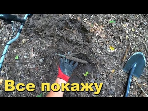 Видео: Что значит ПОВЕЗЛО! Удача в лесу.