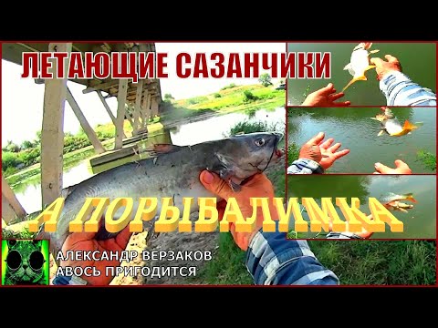 Видео: А порыбалимка 14/21г.  Летающие сазанчики.