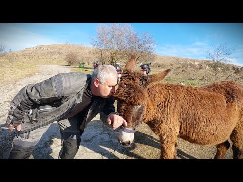 Видео: Магарето от Градешкия манастир.(епизод 161)