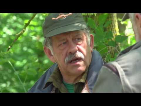 Видео: Охотничьи экспедиции. Сезон 1. Охота на кабана на кормовых полях