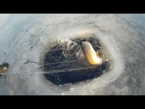 Видео: Очередная проверка сетей