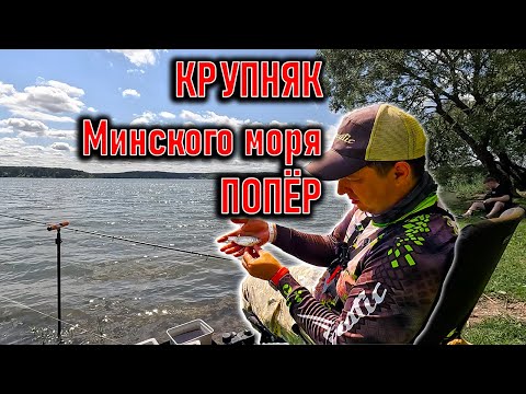 Видео: Алексей на Минском Море ; Elegance Accela Feeder